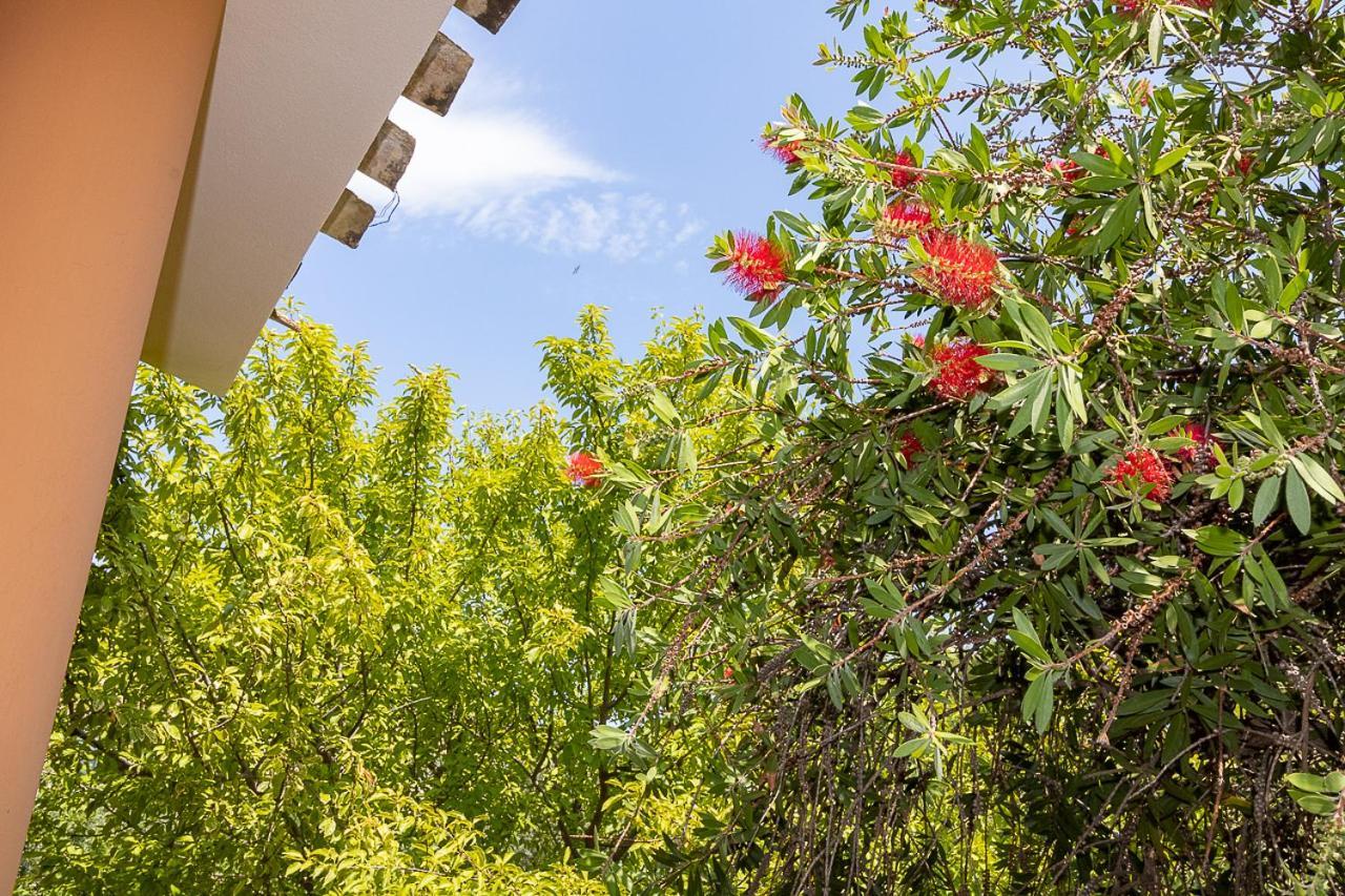 Villa Caterina La Maddalena  Exterior photo
